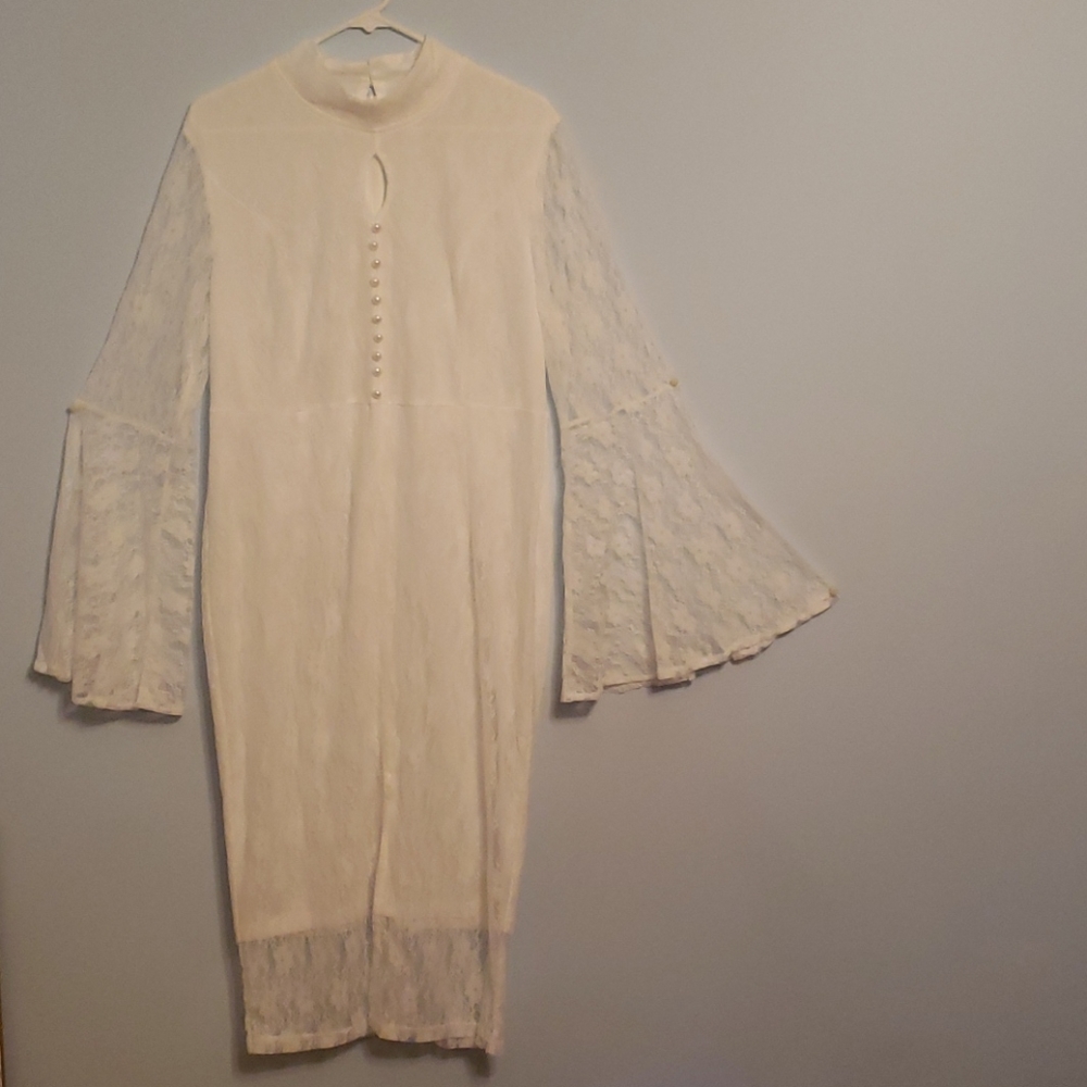 Belle sleeve lace bodycon dress